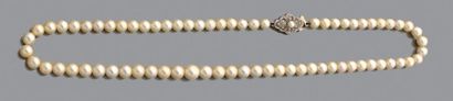 null Collier de soixante-et-onze perles de culture en chute, le fermoir en or 585...