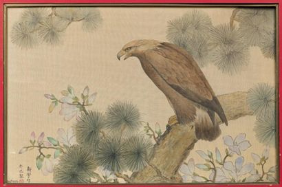 CHINE - LIAO XINXUE (1903-1958) Encre et couleurs sur soie, aigle perché sur une...