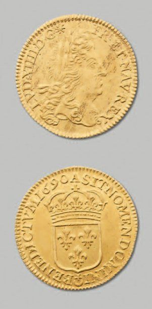 null Louis d'or à l'écu. 1690. Paris. D. 1435 Pr. superbe.