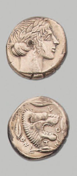 null Tétradrachme (466-425 av. J.-C.) 17,09 g Tête d'Apollon à d. R/ Tête de lion...