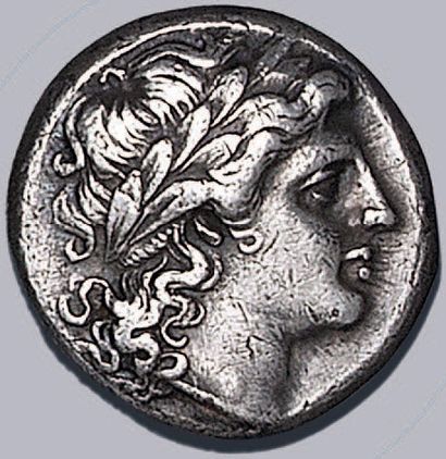 null MONNAYAGE ROMANO-CAMPANIEN (280-211 av. J.-C.)
Didrachme. Tête d'Apollon laurée...