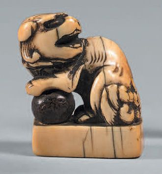 JAPON - Époque EDO (1603-1868) Netsuke en ivoire, shishi sur une base, la tête tournée...