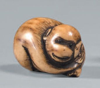 JAPON - Epoque MEIJI (1868-1912) Netsuke en corne de cerf, singe ramassé sur lui-même,...