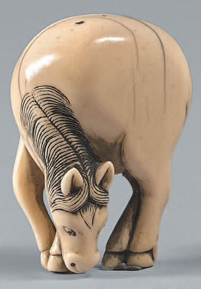 JAPON - Époque EDO (1603-1868) Netsuke en ivoire, cheval paissant, un antérieur légèrement...