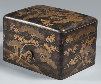 JAPON - Époque Edo (1603-1868), XIXe siècle Coffre de forme rectangulaire en laque...