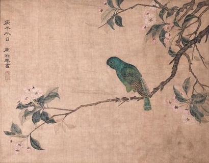 CHINE - XIXe siècle Encre et couleurs sur soie, représentant une perruche verte sur...
