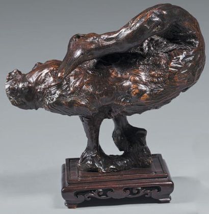 CHINE - fin du XIXe siècle Statuette de canard en racine sculptée, la tête tournée...
