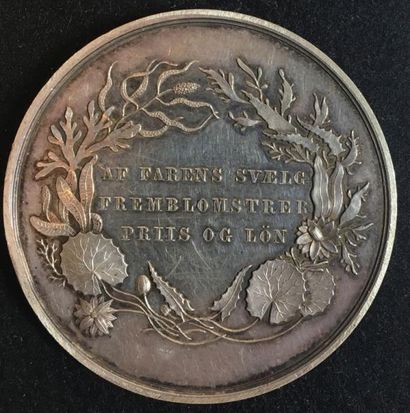 null Médaille pour sauvetage en mer, créée en 1812, médaille d'argent non portable,...