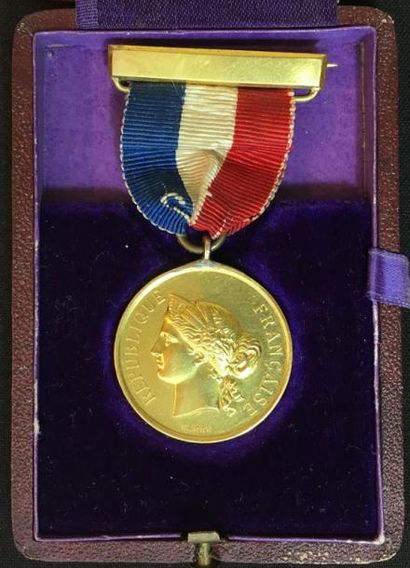 null IIIe République, Marine et Colonies, médaille d'honneur de 2e classe en or,...