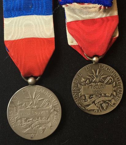 null Médaille d'honneur Agricole, lot de deux médailles en argent par Borrel, attribution...