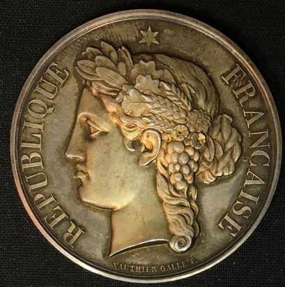 null Paris, choléra de 1884 - Préfecture de Police, médaille en argent au profil...