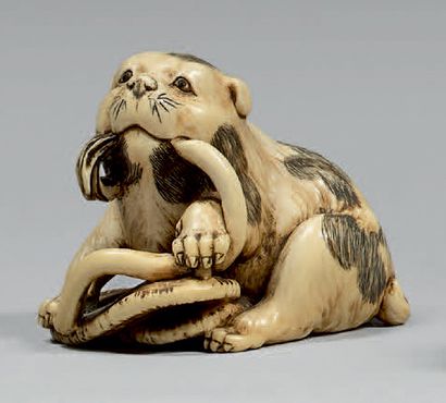 JAPON - Fin de l'époque Edo (1603-1868) Netsuke en ivoire, chiot tacheté mordillant...