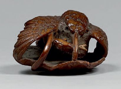 JAPON - Epoque MEIJI (1868-1912) Netsuke en noix, martin-pêcheur sur une feuille...