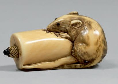 JAPON - Milieu de l'époque Edo (1603-1868) Netsuke en ivoire, rat grimpant sur un...