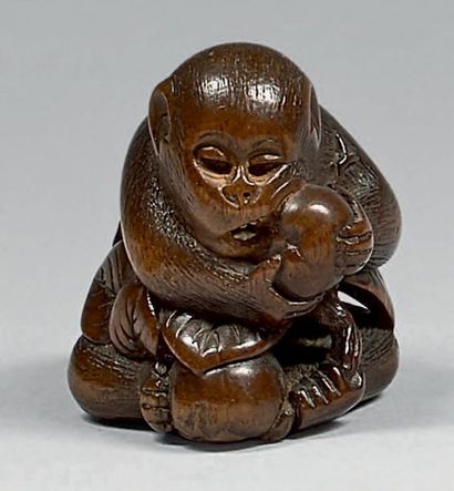 JAPON - Milieu de l'époque Edo (1603-1868) Netsuke en buis, singe assis tenant des...