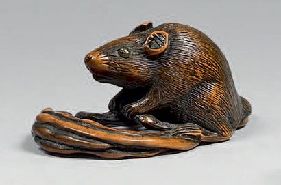 JAPON - Époque EDO (1603-1868) Netsuke en buis, rat s'apprêtant à manger un long...