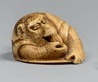 JAPON - Epoque MEIJI (1868-1912) Netsuke en ivoire, singe assis sur un éventail rigide...