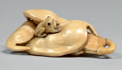 JAPON - Époque Edo (1603-1868), XIXe siècle Netsuke en ivoire, petite grenouille...