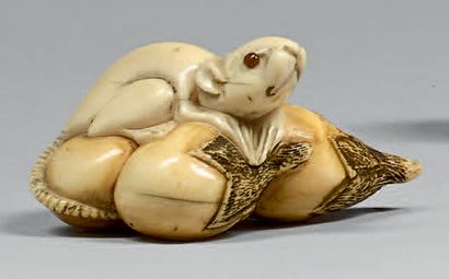 JAPON - Epoque MEIJI (1868-1912) Netsuke en ivoire, rat posé sur de petites aubergines.
Les...