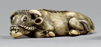 JAPON - Époque Edo (1603-1868), XIXe siècle Netsuke en ivoire, buffle couché, sa...