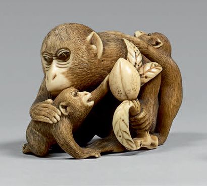 JAPON - Epoque MEIJI (1868-1912) Netsuke en ivoire, singe tenant une pêche et ses...