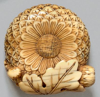 JAPON Milieu de l'époque Edo (1603-1868) Manju en ivoire en forme de fleur de chrysanthème,...