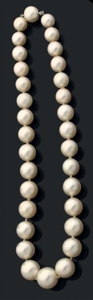 null Collier de trente-deux perles de culture en chute, le fermoir en or gris 750...