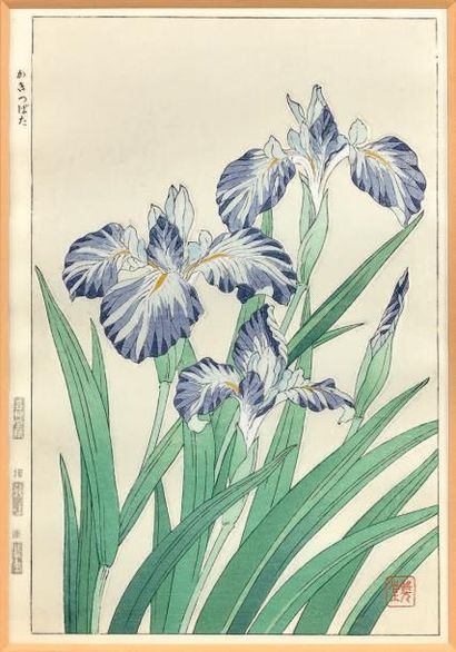 Kawarazaki Shodo (1889-1973) 
Trois oban tate-e, camélias, iris jaunes et bleues.
Signées.
37...
