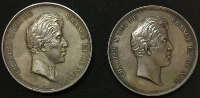 null * Chambre des Députés, 1825, 1827, groupe de deux médailles d'identité par de...