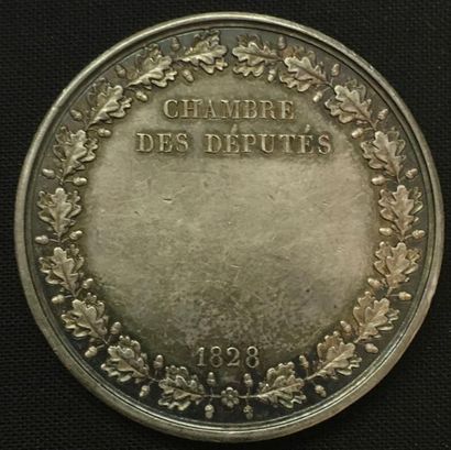 null * Chambre des Députés, session de 1828, médaille d'identité par de Puymaurin...