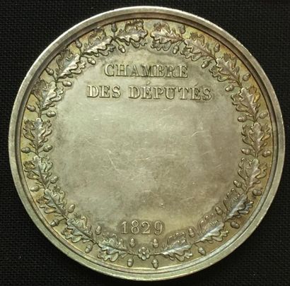 null * Chambre des Députés, session de 1829, médaille d'identité par de Puymaurin...