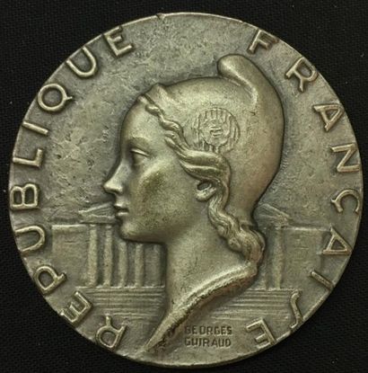 null * Assemblée nationale, 1956, médaille d'identité par Georges Guiraud et Roger...
