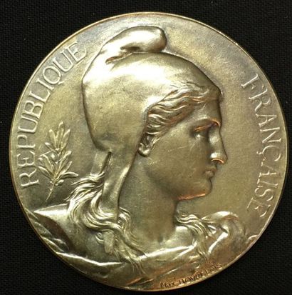 null * Sénat, médaille d'identité, type de 1888 par Maximilien Bourgeois, en vermeil,...