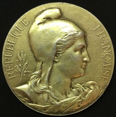 null * Sénat, médaille d'identité, type de 1896 par Maximilien Bourgeois, avers identique...