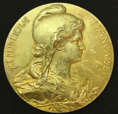 null * Sénat, médaille d'identité, type de 1900 par Maximilien Bourgeois, sur l'avers...