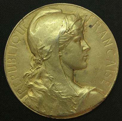 null * Sénat, médaille d'identité, type de 1924 par Charles Pillet, en vermeil, sur...