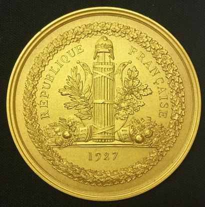 null * Sénat, médaille d'identité, type de 1927 par Gatteaux et Dubois, en bronze...