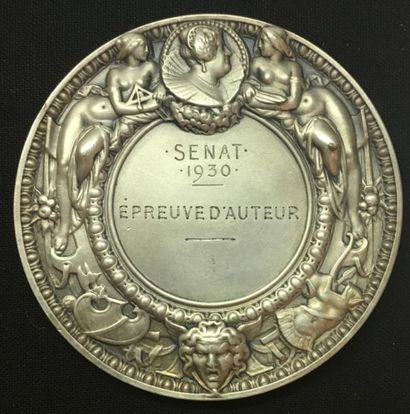 null * Sénat, médaille d'identité, type de 1930 par Charles Pillet, même type en...