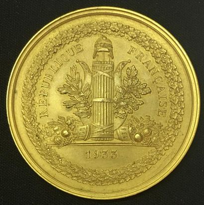 null * Sénat, médaille d'identité, type de 1933 par Gatteaux et Dubois, en bronze...