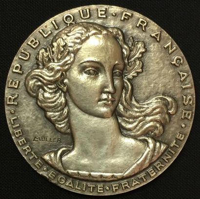 null * Conseil de la République, médaille d'identité, type de 1958 par Louis Muller,...