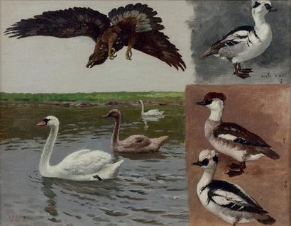 Georges Frédéric ROTIG (1873-1961) Études d'oiseaux
Huile sur toile, signée et datée...