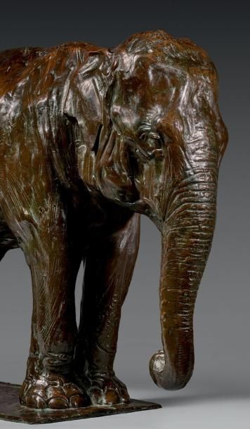Rembrandt BUGATTI (1884-1916) Éléphant de l'Inde au repos, vers 1909-1910 Épreuve...