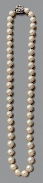 Collier de quatre-neuf perles de culture...
