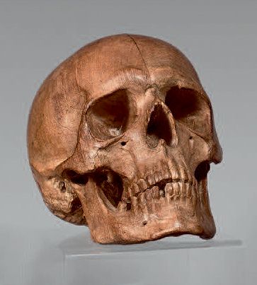null Crâne humain en bois sculpté.
XIXe siècle.
Hauteur: 17 cm - Largeur: 22 cm
Profondeur:...