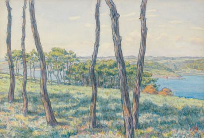 Henri RIVIERE (1864-1951) Loguivy, les pins dominant le Trieux, juillet 1901 Aquarelle,...