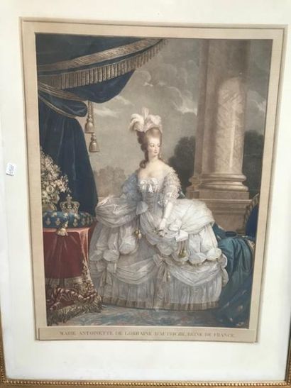 null "Portrait de Marie-Antoinette"