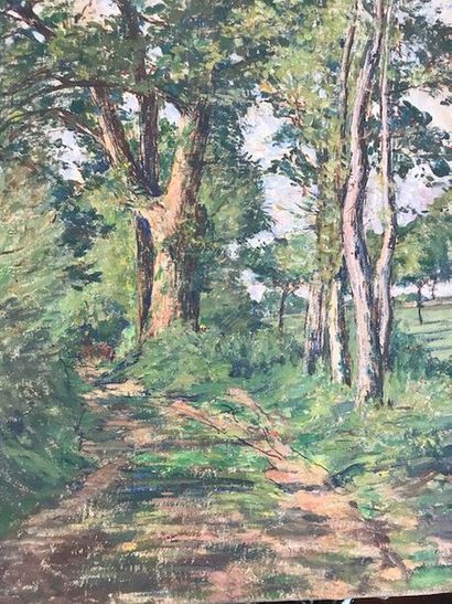 null Henry DARAS (1850-1928) :
"Chemin de forêt"
