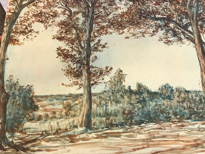 null Henry DARAS (1850-1928) :
"Paysage de forêt"
