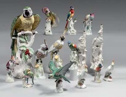 null Quinze statuettes de perroquets et perruches en porcelaine et faïence polychrome...