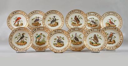PARIS Ensemble de douze assiettes en porcelaine dure, décor polychrome ornithologique...